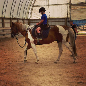 Meet your Posher, Kaiden